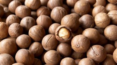 إذا كنت تعشق المكسرات.. تعرف على فوائد المكاديميا الصحية