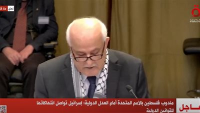 محكمة العدل الدولية تبدأ بالاستماع لمرافعات حول الاحتلال الإسرائيلي للأراضي الفلسطينية (بث مباشر)