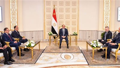 السيسي يناقش سبل التعاون مع رئيس شركة 