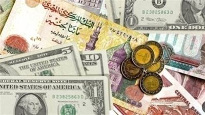 أسعار صرف العملات العربية والأجنبية مقابل الجنيه المصري اليوم الثلاثاء 20-2-2024