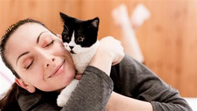 أضرار تربية القطط في المنزل للنساء 