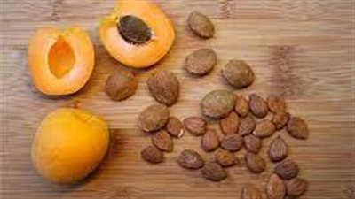 بذور المشمش.. هل هى مفيدة أم مضرة؟ 