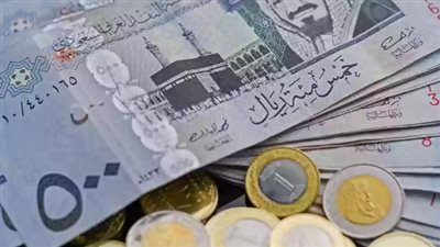 سعر الريال السعودي مقابل الجنيه المصري في السوق السوداء اليوم الأربعاء 21_ 2_ 2024