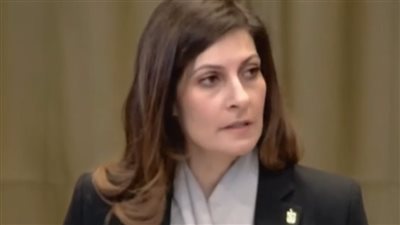 برلماني: مذكرة مصر للعدل الدولية جاءت لكشف ممارسات الاحتلال في الأراضي الفلسطينية