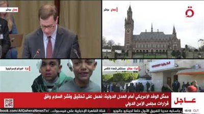 النص الكامل لكلمة ممثل الولايات المتحدة الأمريكي أمام محكمة العدل الدولية (بث مباشر)