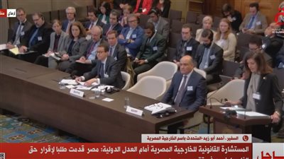  السفير أحمد أبو زيد: لا بد من وقف إطلاق النار في قطاع غزة (فيديو)