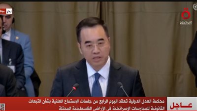 ممثل الصين أمام محكمة العدل الدولية: الفلسطينيين لديهم حق تقرير مصيرهم (بث مباشر)