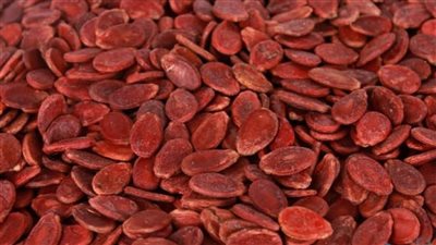 فوائد لب البطيخ.. يحسن الهضم ويقوي العظام