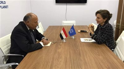 شكري يلتقي بمدير عام منظمة اليونسكو على هامش اجتماع وزراء خارجية مجموعة العشرين