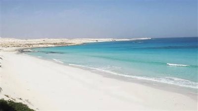 برلماني مصري: صفقة رأس الحكمة بداية مهمة لوضع الدولة على طريق تصحيح مسار الاقتصاد 