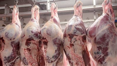  أسعار اللحوم اليوم الاربعاء 28-2-2024 في الأسواق والمنافذ الحكومية