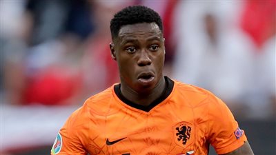 شرطة دبى تلقى القبض على الهولندي كوينسي بروميس.. ما القصة؟