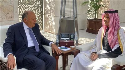 وزير الخارجية يعقد اجتماعًا ثنائيًا مع نظيره القطري 