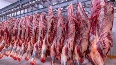 سعر اللحوم البقري اليوم 3_3_ 2024 في مصر 