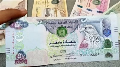 سعر الدرهم الإماراتي اليوم 4_3_2024 مقابل الجنيه المصري
