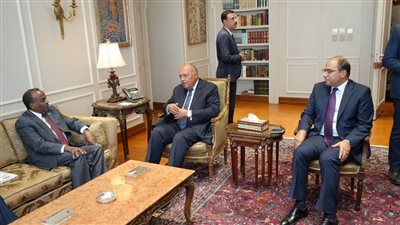وزير الخارجية يستقبل القائم بأعمال وزير خارجية الصومال في القاهرة 