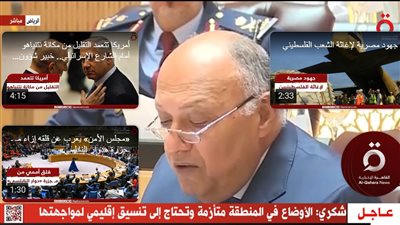 سامح شكري: العلاقات الوثيقة والمتميزة التي تجمع مصر بدول الخليج عميقة (فيديو)