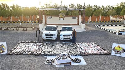 مصر.. إحباط محاولة لتهريب كميات كبيرة من المواد المخدرة فى جنوب البلاد (صور)