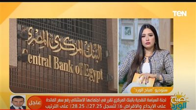  أستاذ اقتصاد دولي يعلق على قرار البنك المركزي بالسماح بتحديد سعر صرف الجنيه وفقا لأليات السوق