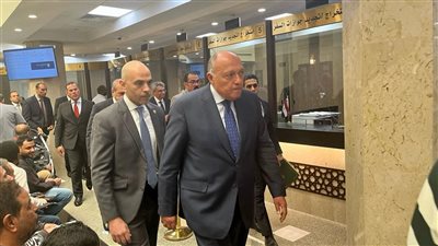 وزير الخارجية يتفقد سير عمل الخدمات المقدَّمة للمواطنين المصريين في الرياض