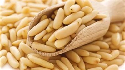 تعرف على فوائد الصنوبر.. مدر طبيعي للبول