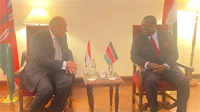 سامح شكري يلتقي رئيس الوزراء ووزير الخارجية في كينيا