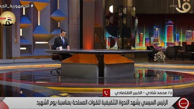 خبير اقتصادي مصري: القيادة السياسية اتخذت قرار تحريك سعر الصرف بعد وجود أموال كافية (فيديو)
