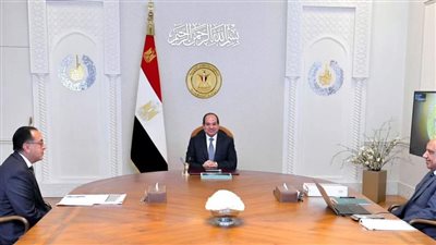 السيسي يوجه بتحسين أداء الشركات والمصانع التابعة لقطاع الأعمال العام
