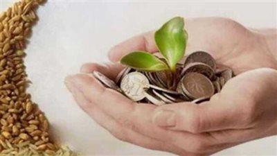 نصيب الفرد وموعد بداية إخراج زكاة الفطر 2024