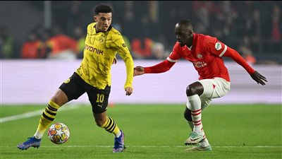 قبل موقعة دوري الأبطال الليلة.. تاريخ مواجهات بروسيا دورتموند وآيندهوفن