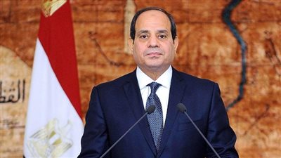 الرئيس عبدالفتاح السيسي يصدّق على تعديل فى قانون جوازات السفر