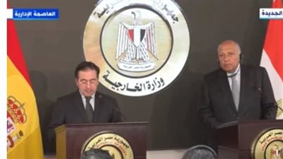 وزير الخارجية الإسباني: مصر تلعب دورًا مهمًا لوقف إطلاق النار بغزة (بث مباشر)
