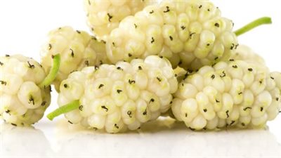 ما فوائد التوت الأبيض؟.. علاقته بمستوى السكر فى الدم