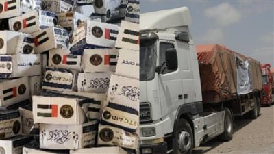  عبر هاشتاج دعم الإمارات واهتمام الزُبيدي.. سياسيون: العلاقات الإماراتية الجنوبية تترسخ يوما بعد يوم