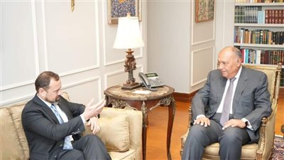 وزير الخارجية يحذر من التدخل في الأزمة السودانية