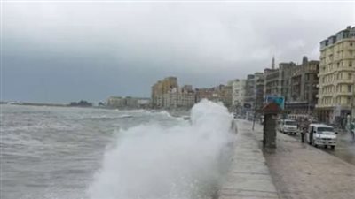 المصريون يثأرون لأهالي غزة بمقتل رجل أعمال إسرائيلي في الإسكندرية (فيديوجراف)