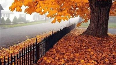 موعد نهاية فصل الشتاء 2024.. وبداية فصل الربيع