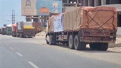 مواصلة دعمها السخي والأخوي.. كيف تعمل دولة الإمارات على تخفيف معاناة المواطنين بمحافظات جنوب اليمن؟