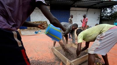 الأرباح السنوية للعمل الجبري 236 مليار دولار