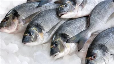 أسعار السمك والجمبري اليوم الأحد 17 مارس 2024