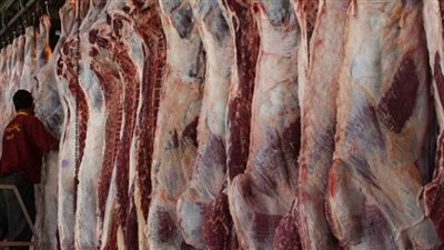  أسعار اللحوم اليوم الأربعاء 20 مارس 2024.. البلدي ما بين 340 إلى 440 جنيها