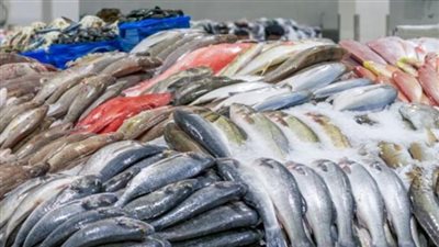 أسعار الأسماك والجمبري اليوم الأربعاء 20 مارس 2024