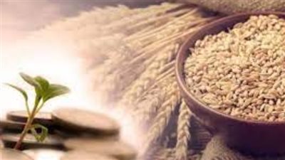 الفرق بين الفدية والزكاة.. ومقدار زكاة الفطر بالكيلو في 2024