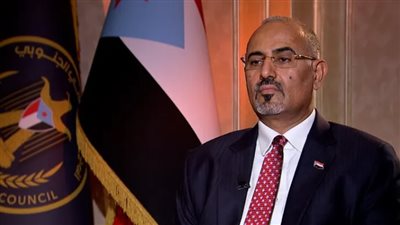 الزُبيدي يصدر قرارًا بشأن تعيين رئيس للهيئة التنفيذية للقيادة المحلية بمحافظة شبوة 