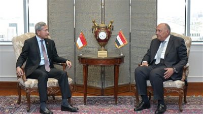 سامح شكري يستقبل وزير خارجية سنغافورة 