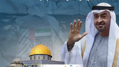 أشكال الدعم الإماراتي لغزة (انفوجراف)