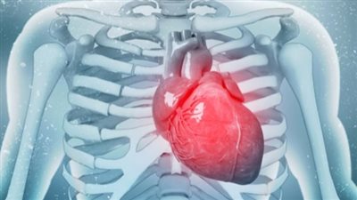 ماذا يحدث للجسم عند ضعف عضلة القلب؟