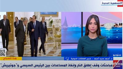 خبير علاقات دولية يتحدث عن أهمية زيارة جوتيريش لمعبر رفح (فيديو)