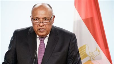 سامح شكري يؤكد التزام مصر الراسخ تجاه القضية الفلسطينية