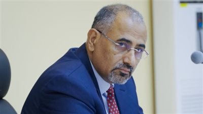 نائب رئيس مجلس القيادة الرئاسي باليمن: ذكرى انطلاقة عاصفة الحزم علامة فارقة في تاريخنا العربي المشترك